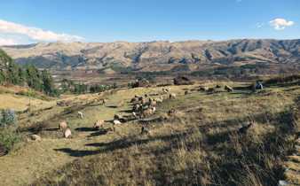 Vallée Sacrée des Incas 