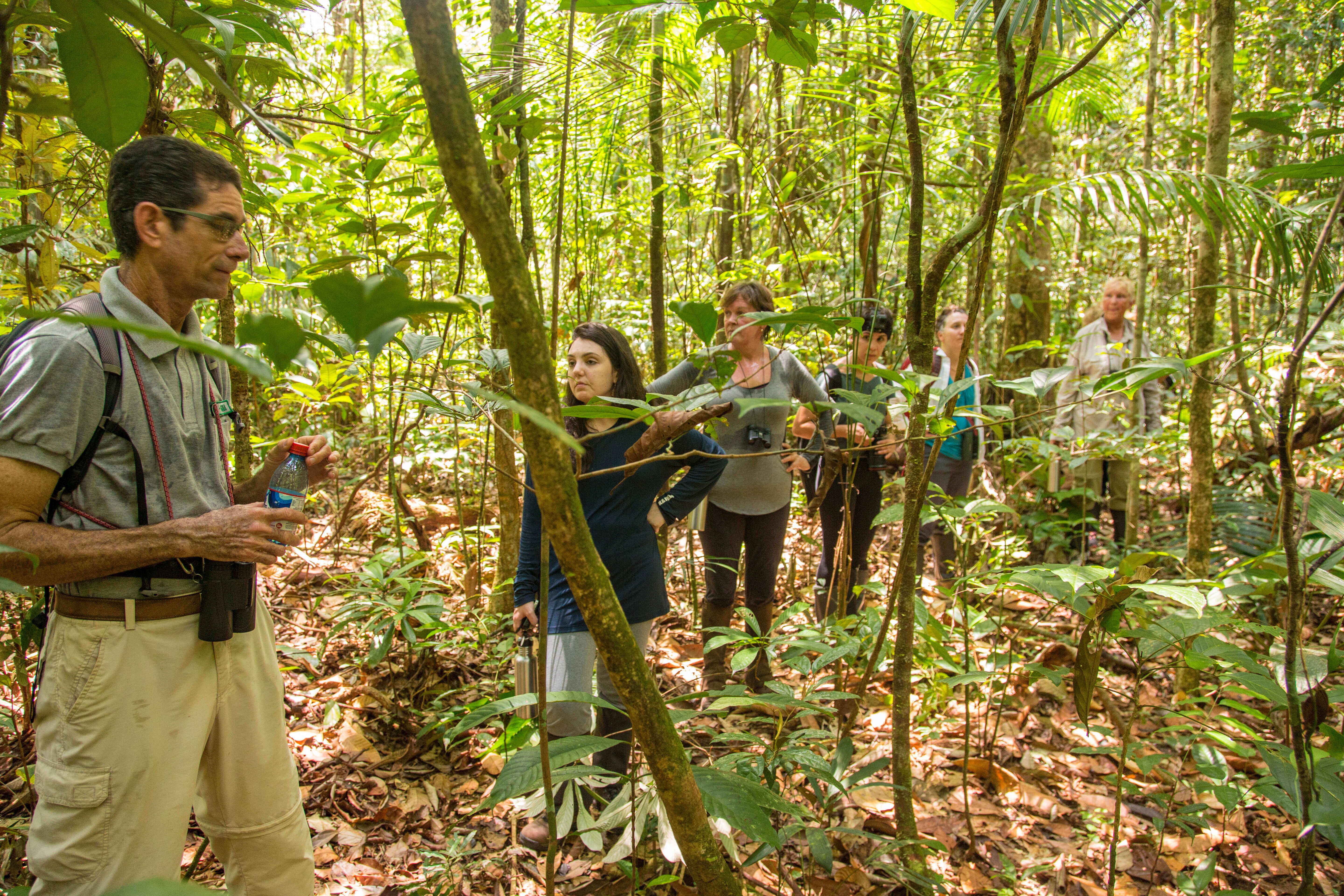 Expert guide leading rainforest walk in the Amazon with Tucano Cruise guests exploring flora under jungle canopy in Brazil. 