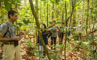 Expert guide leading rainforest walk in the Amazon with Tucano Cruise guests exploring flora under jungle canopy in Brazil. 