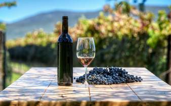 Dégustation de vins au Chili