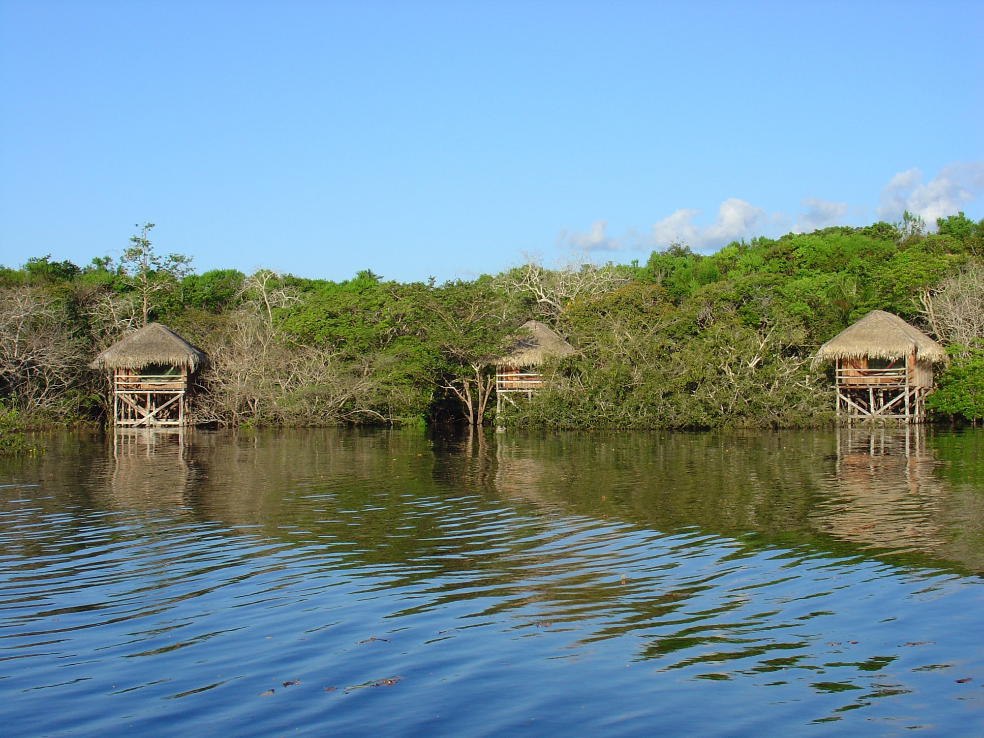 1785 Juma Lodge