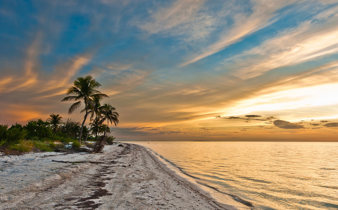 Sunset over the sandy beaches and palm trees of Holbox Island, Yucatan, Mexico, with dramatic evening sky. 