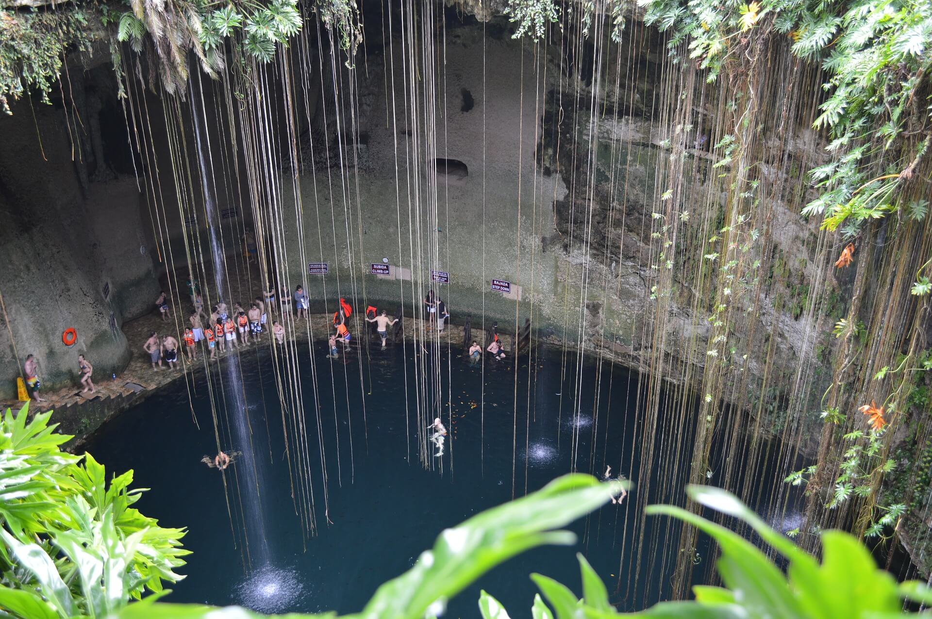 Visitors swim in the natural waters of Cenote Ik Kil, surrounded by hanging vines and limestone walls in Yucatan, Mexico. 
