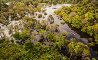 Amazonie brésilienne