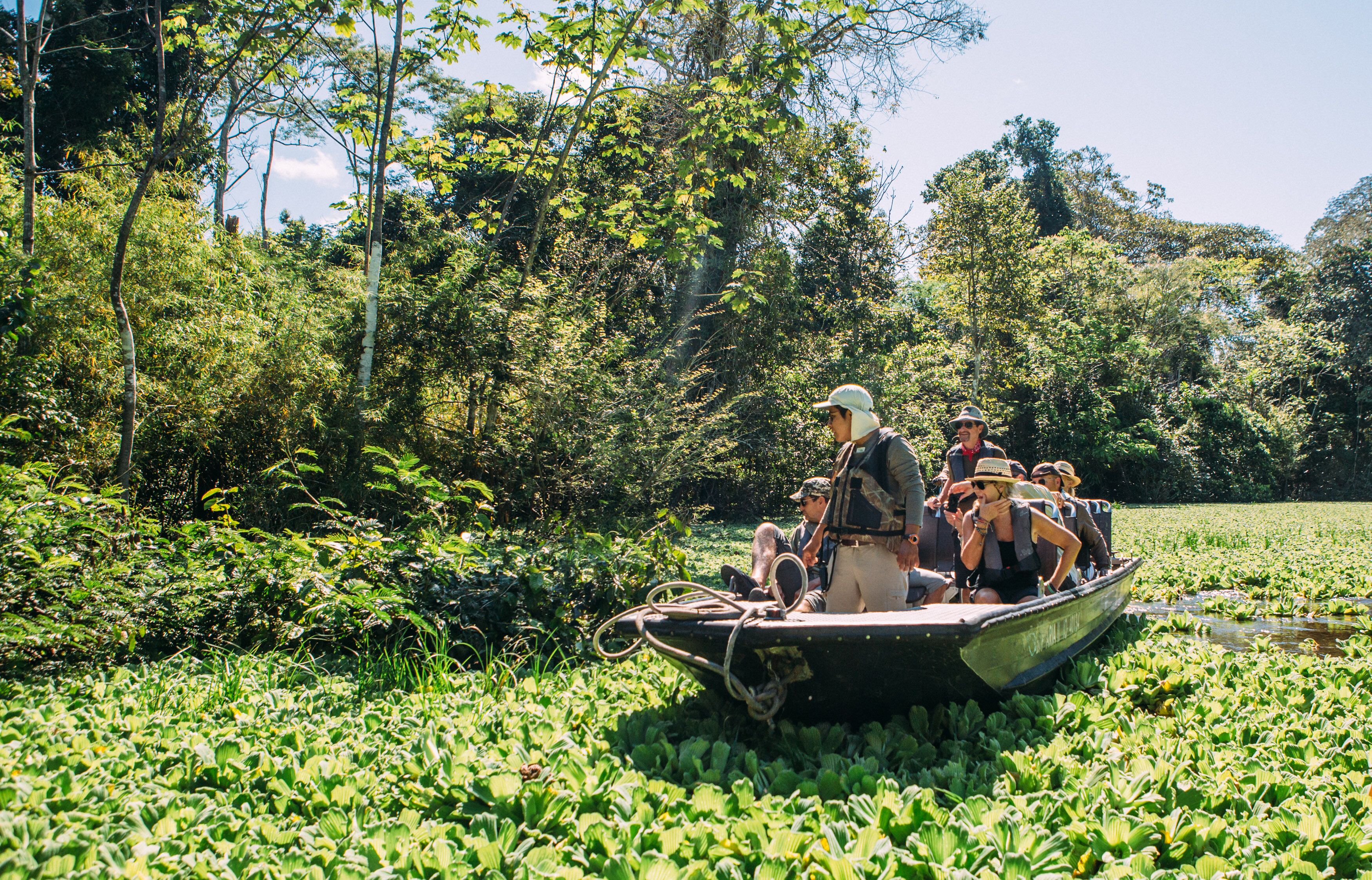 Tourists on a guided boat tour exploring the Amazon jungle and wildlife in Peru. 