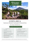 Costa Rica Tanager Window Flyer (Jpeg)