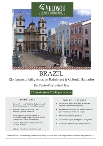 Brazil Tamboril Window Flyer (Jpeg)