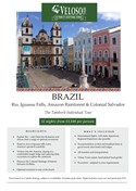 Brazil Tamboril Window Flyer (Jpeg)