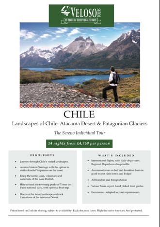 Chile Sereno Window Flyer (Jpeg)