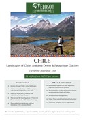 Chile Sereno Window Flyer (Jpeg)