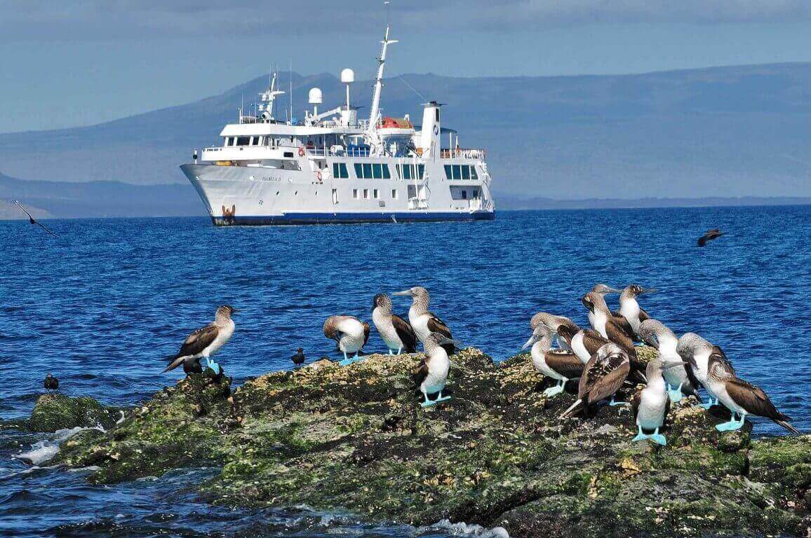Croisière îles Galapagos