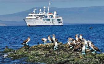 Croisière îles Galapagos