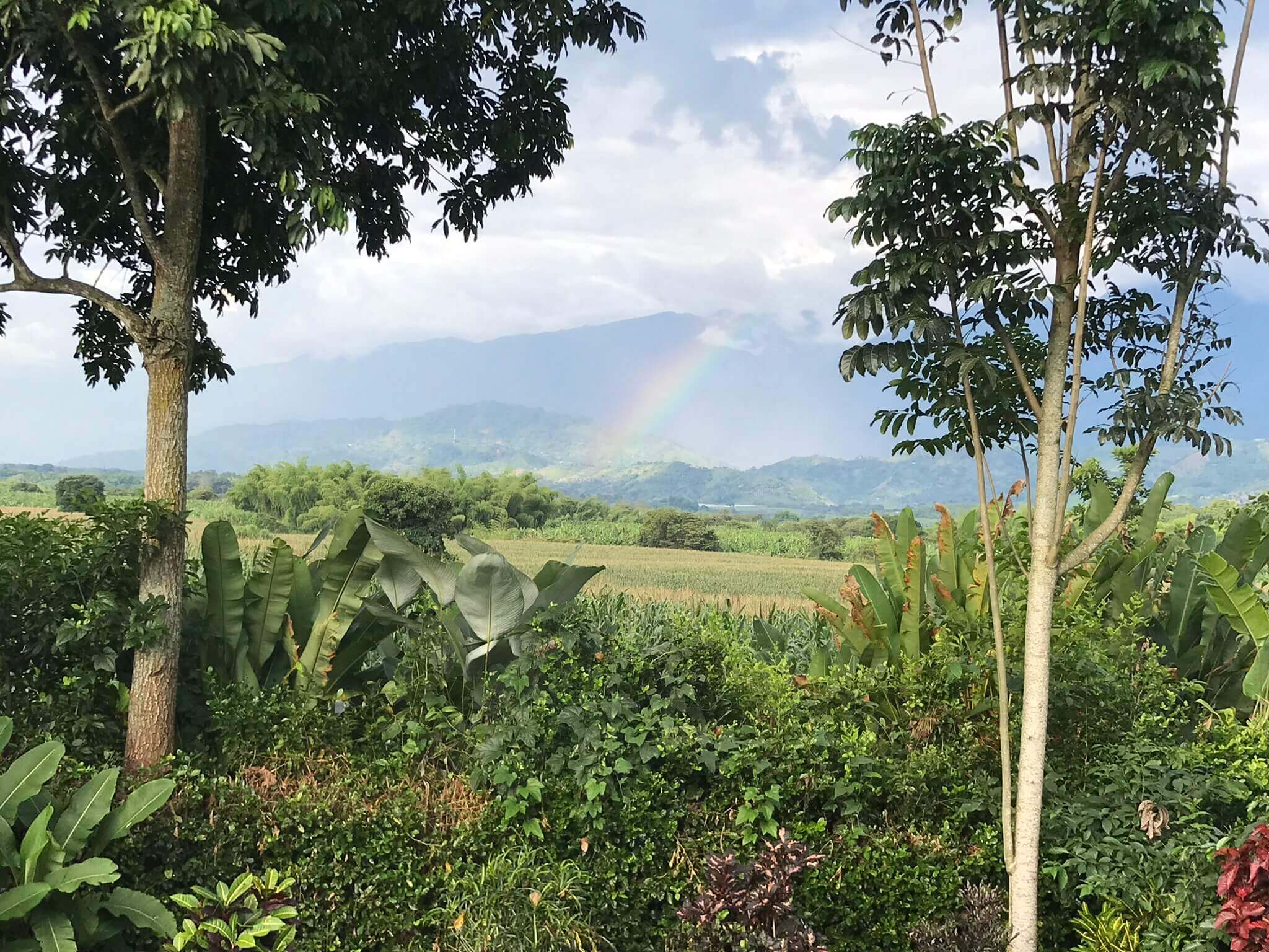 Coffee Region