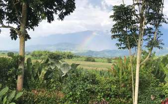 Coffee Region