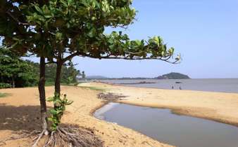 Montabo Zéphir Guyanne