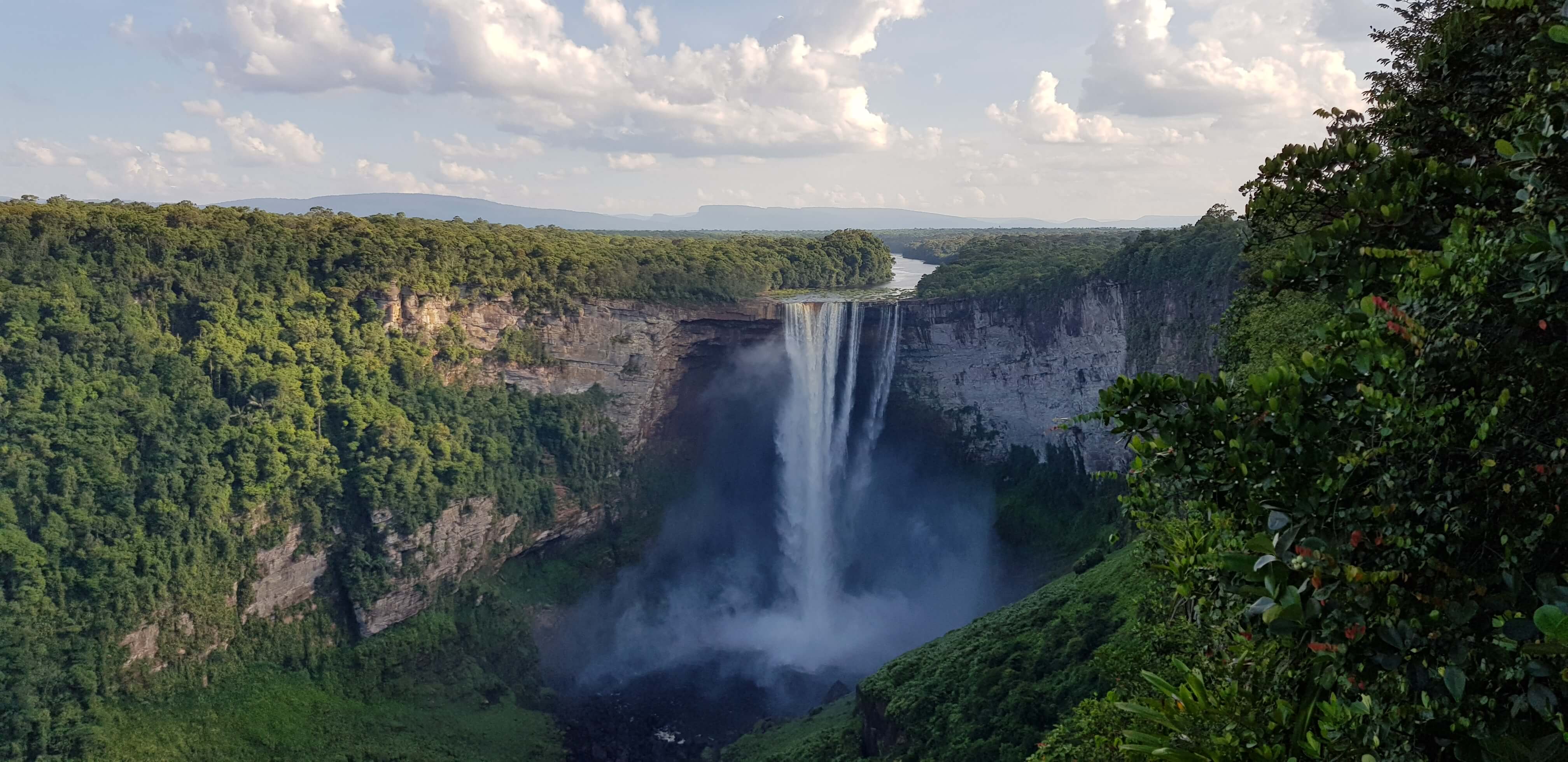Chutes de Kaieteur Guyana