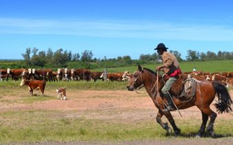 Gaucho dans la Pampa Uruguayenne 