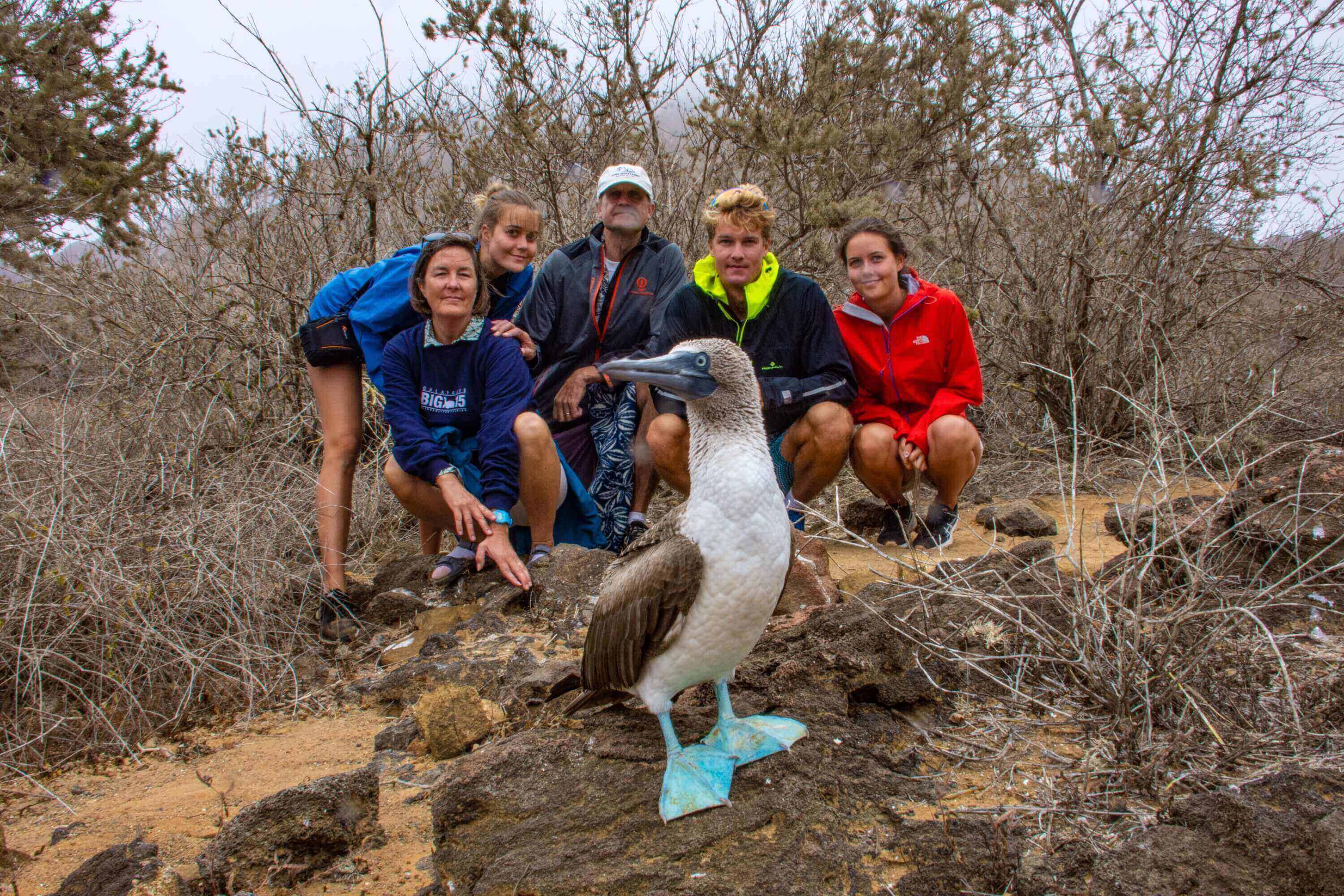 Friendly Blue Footed Booby