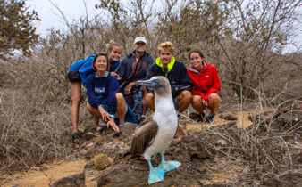 Friendly Blue Footed Booby