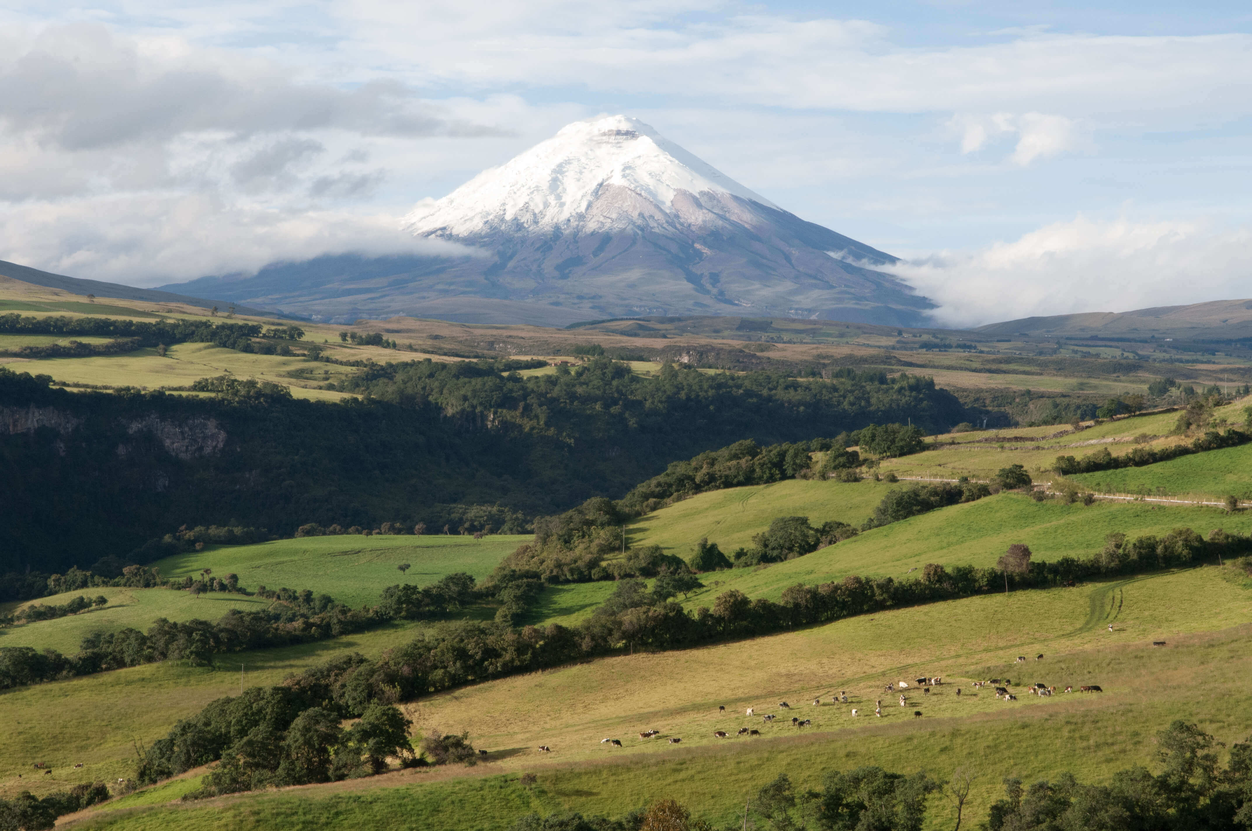 Cotopaxi
