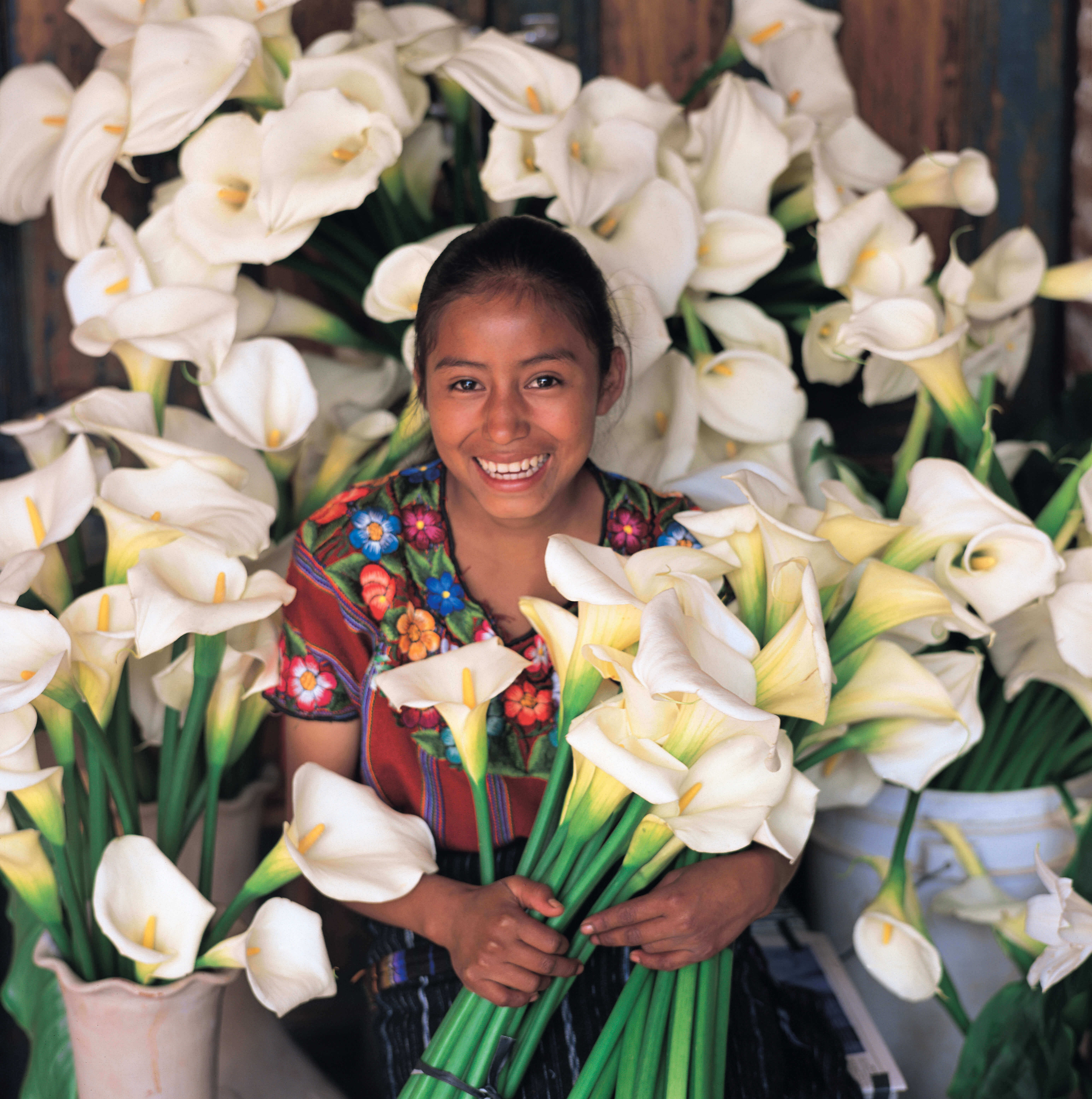 Colorful Guatemalan market scene with bundles of white calla lillies on display. 