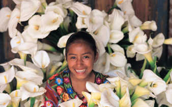 Colorful Guatemalan market scene with bundles of white calla lillies on display. 