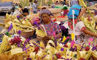 Riot of colours - Weavings and Flowers