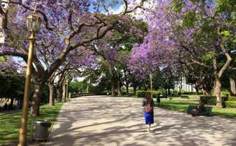 Cool parks