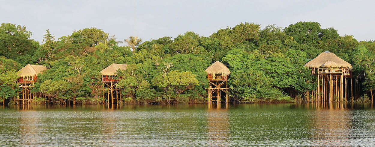 Amazonie Brésil Juma Lodge