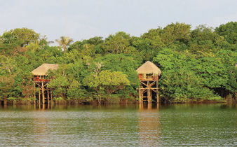 Amazonie Brésil Juma Lodge
