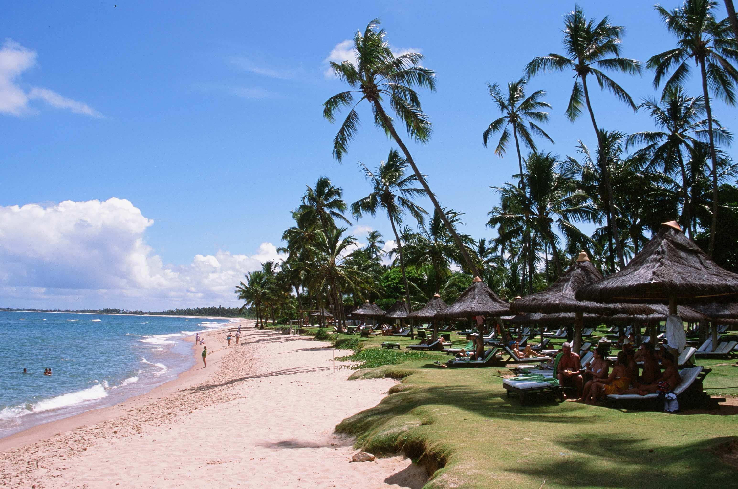 Plages de Praia do Forte