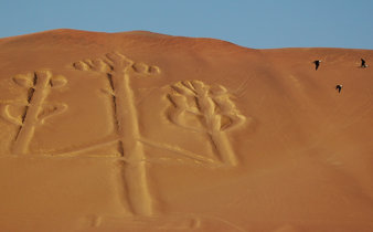 Paracas