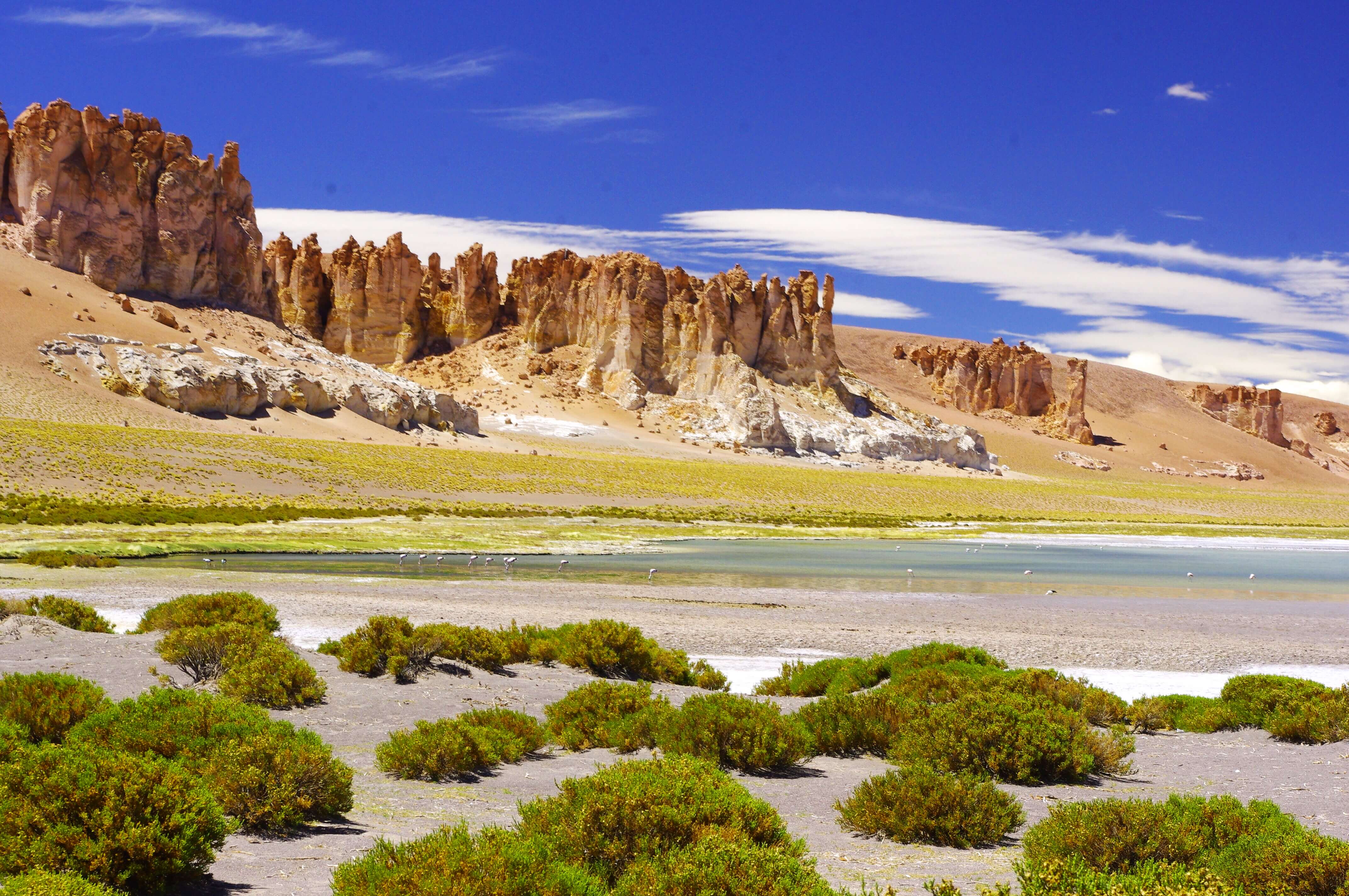 Dramatic rocks spires rise above green shrubs and a salt flat in Chile's high altitude Altiplano region. 