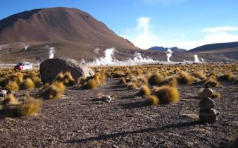 Steam rises from El Tatio geysers at sunrise, framed by desert vegetation and volcanic peaks. 