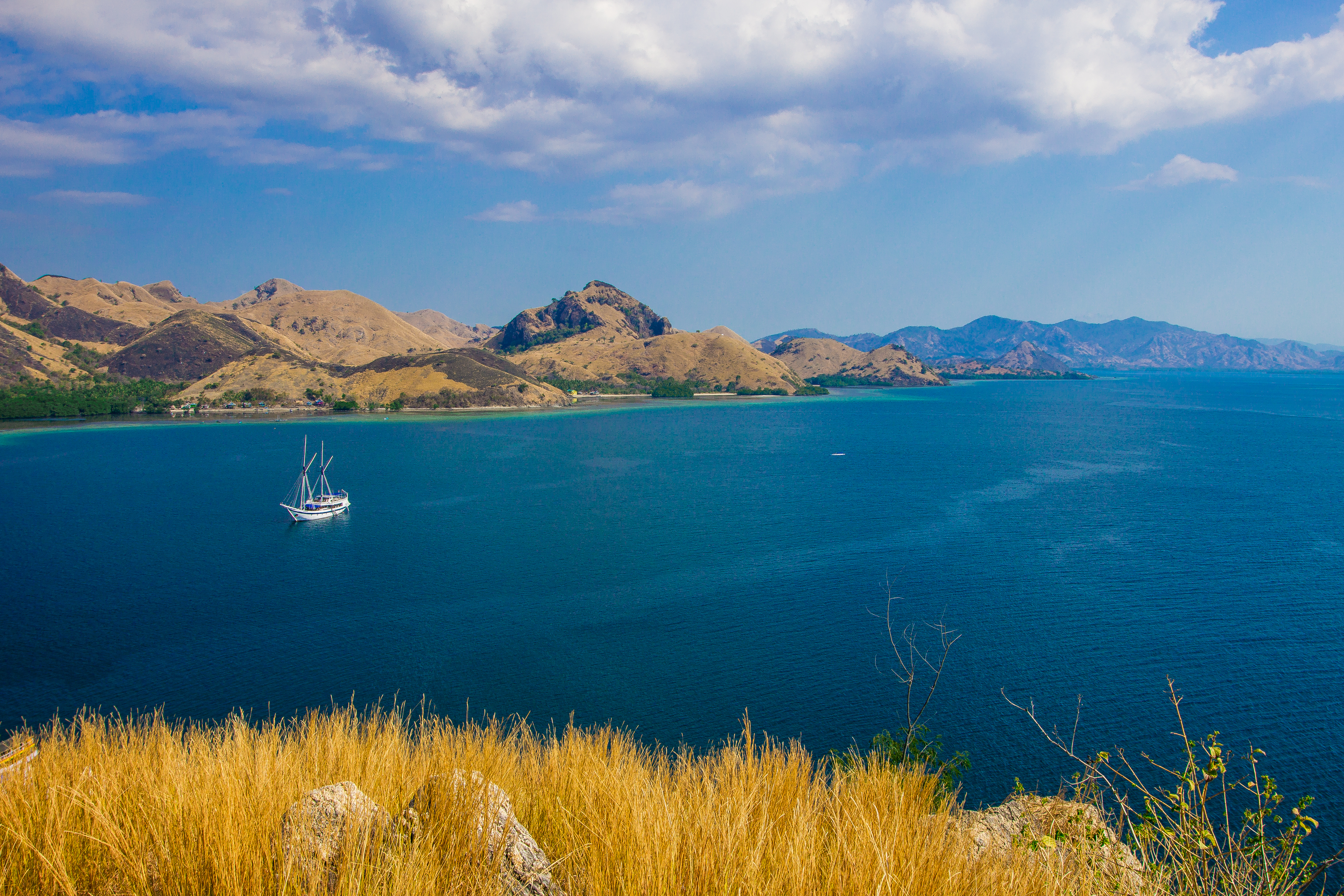 5 Komodo Park