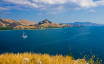 5 Komodo Park
